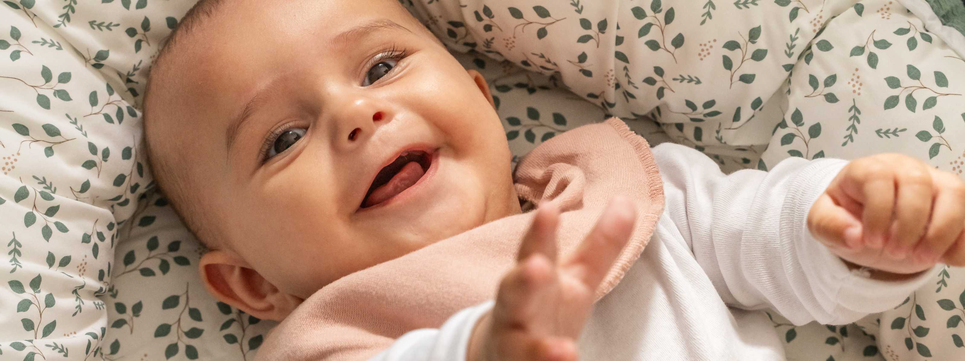 15_86672a27-5dd0-4786-8033-273142618303