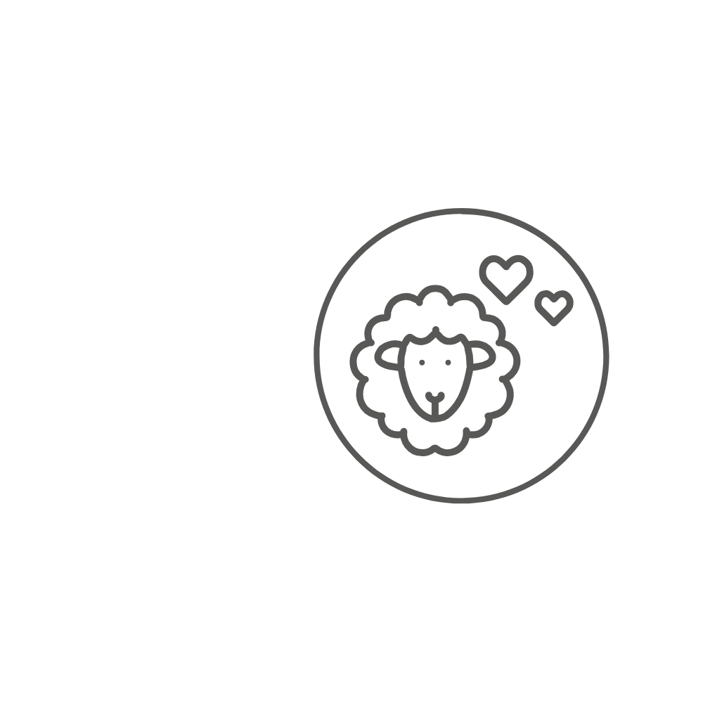 Schafswolle mulesingfrei Wollwalk ULLENBOOM