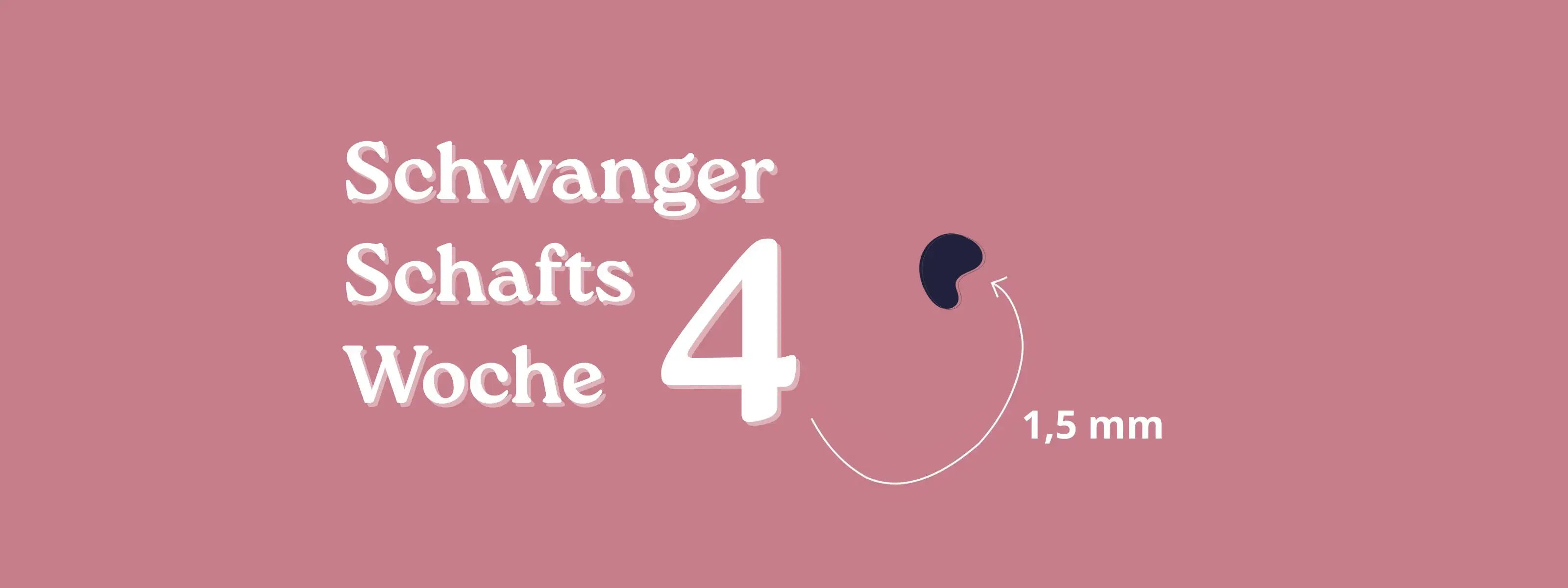 Schwangerschaftswoche 4 – ein besonderer Anfang-ULLENBOOM Baby